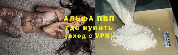 прущие грибы Надым