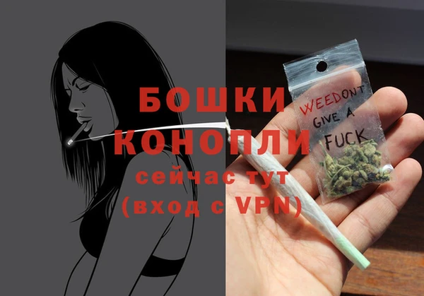 прущие грибы Надым