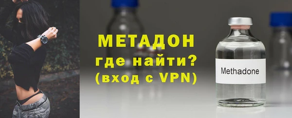 прущие грибы Надым