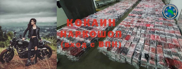 гашик Нефтекумск