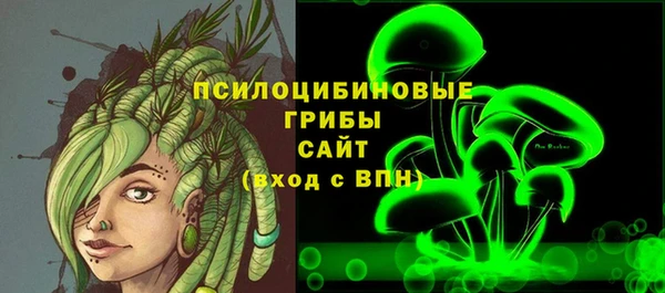 прущие грибы Надым