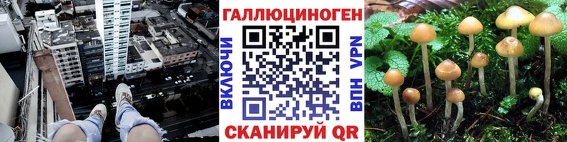 Псилоцибиновые грибы Magic Shrooms  Кириши 