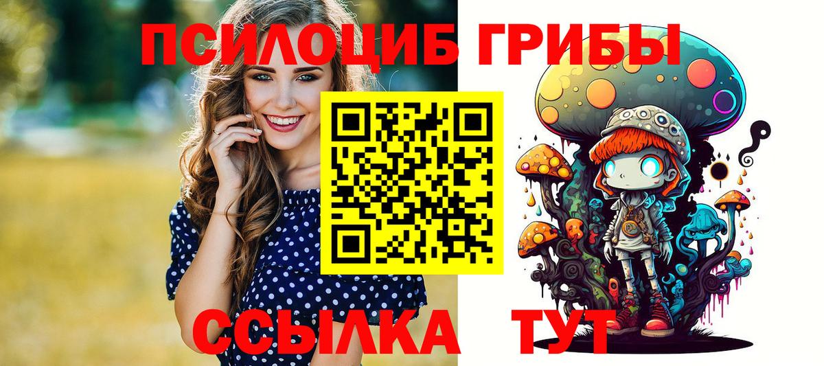 Псилоцибиновые грибы мицелий Кириши