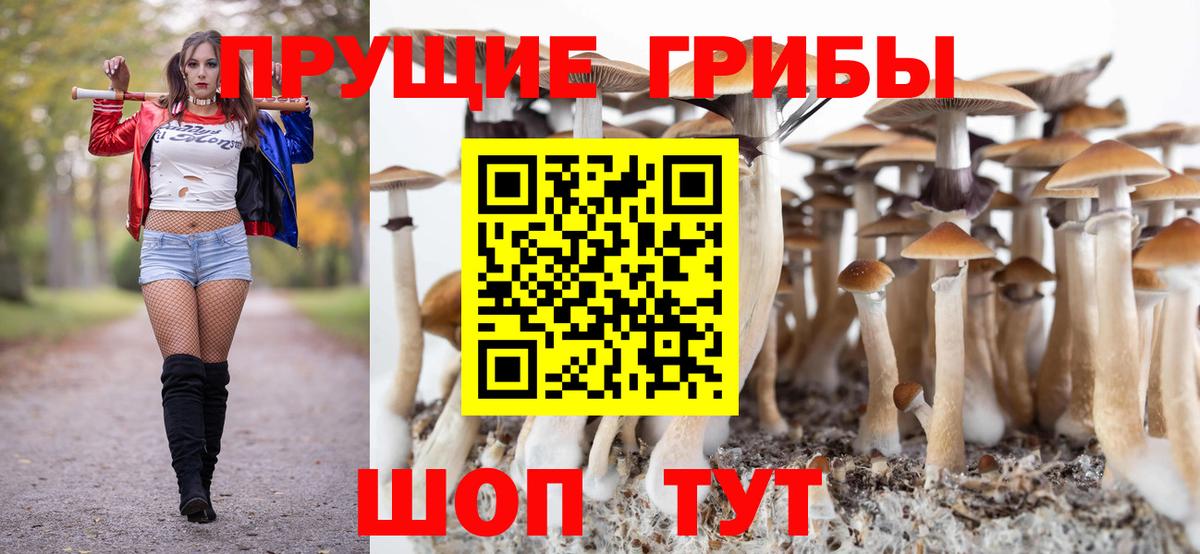 Галлюциногенные грибы Psilocybine cubensis Кириши