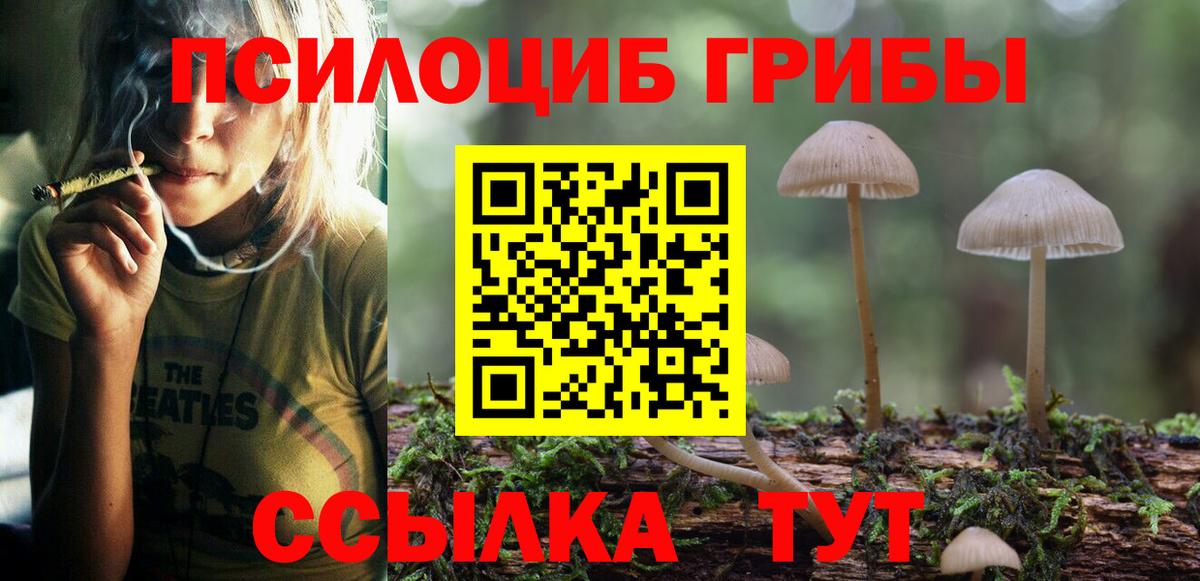 Псилоцибиновые грибы прущие грибы  Вход с VPN  Кириши 