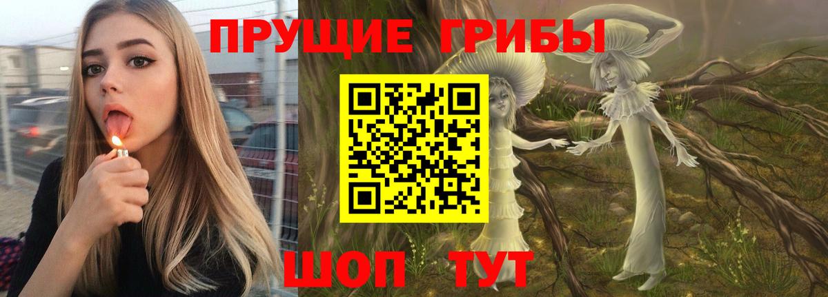 Галлюциногенные грибы мицелий  Псилоцибиновые грибы мицелий  Кириши 