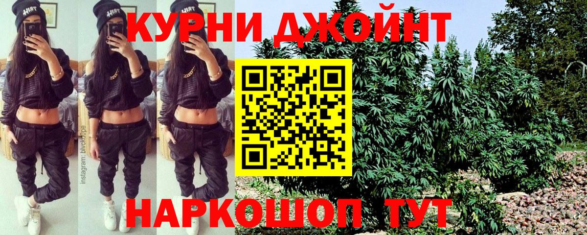 Бошки Шишки планчик  МАРИХУАНА планчик  Кириши 